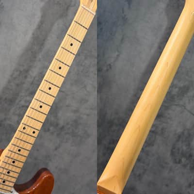 FUJIGEN(FGN) NTE110MMHT ~Natural~ #C250136【3.46kg】 image 10