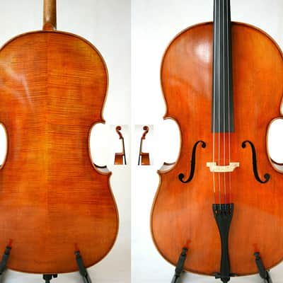 Master Cello Montagnana 1739"Sleeping Beauty"Model Wide Body Oil Varnish image 2