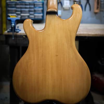 Howie Griffin Series G.21.79.21 - Spalted Maple image 16