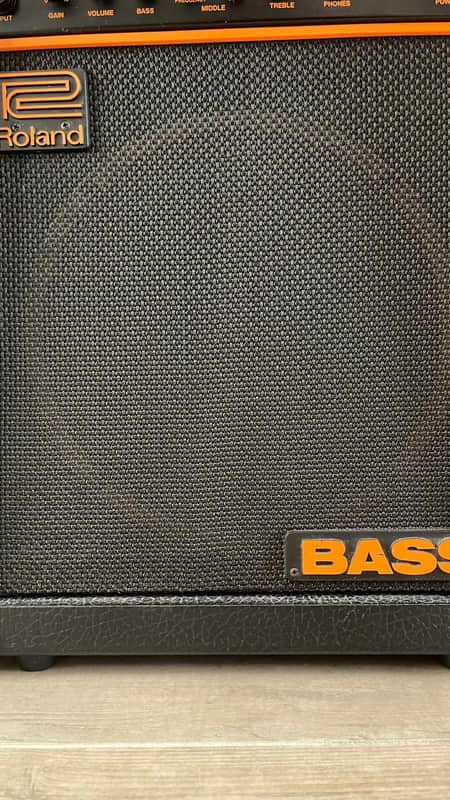 Roland DAC-15B bass combo | Reverb