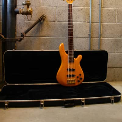 Fernandes APB-5 FRB 100 String Bass 1993 Vintage Natural Made in Japan image 20