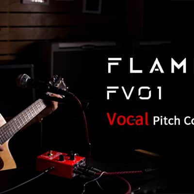 Flamma FV01 Vocal Effects Processor Pitch Correction with Delay Reverb Effects,price include the import duty for US buyer image 8