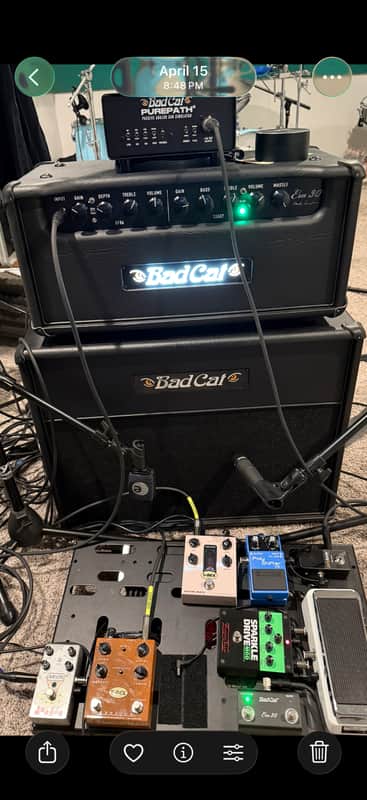 Bad Cat Era Head with matching 1x12 cab image 1