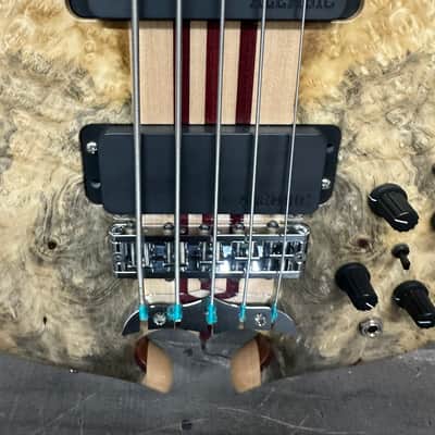 🔥 Alembic Mark King Signature 5-String Bass 2024 – NEW – Buckeye Burl – USA Custom image 2