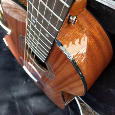 Zager Travel Guitar 2022 Mahogany image 12