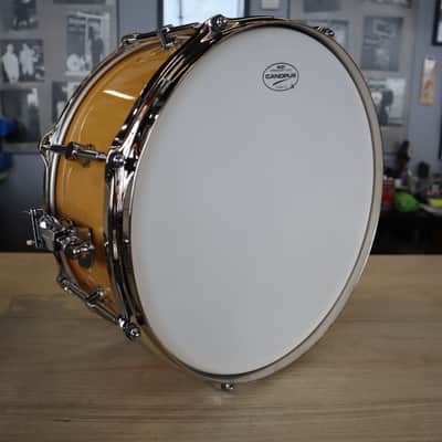 Canopus 1Ply Soft Maple 14" x 6.5" image 4