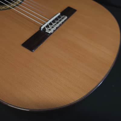 New Alhambra 4P Solid Top Classical Nylon String Guitar Made in Spain Logo'd Gig Bag image 11