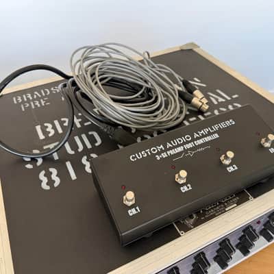 Custom Audio Electronics 3+ 90’s - Grey with road case image 8