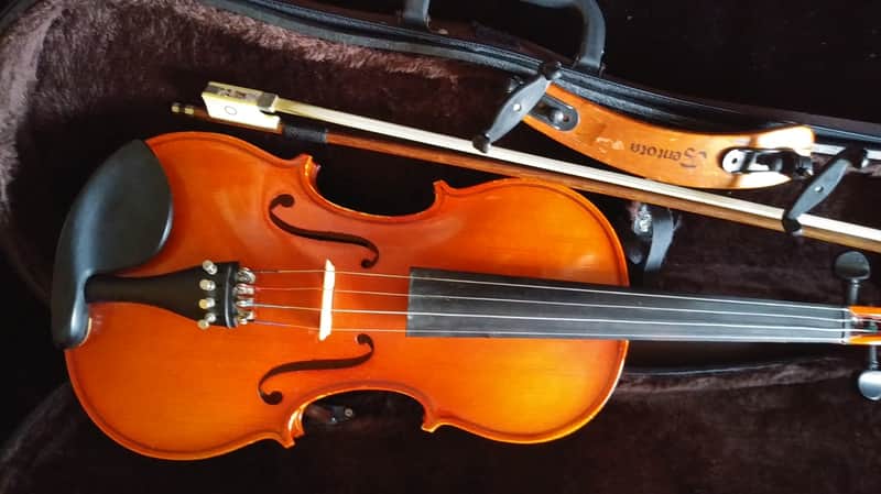 Shimro 501 1995 Violin | Reverb