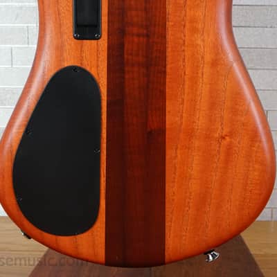 Spector Euro 4 RST - Sienna Stain image 13