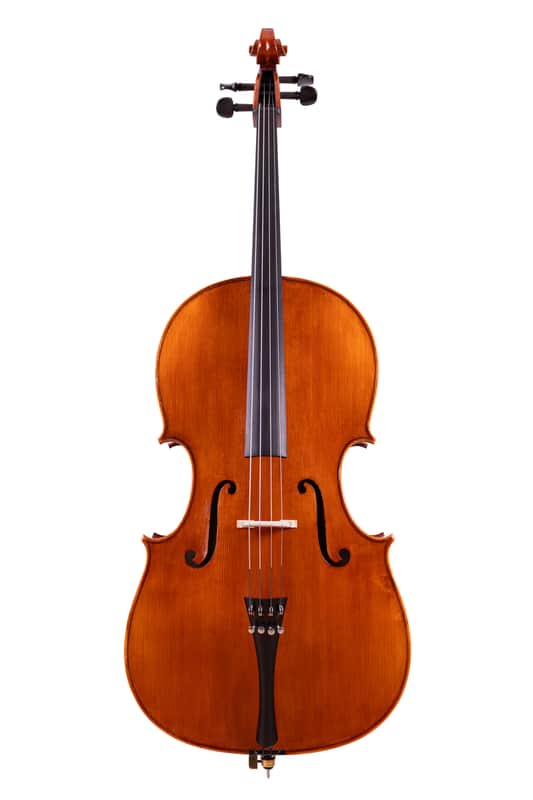 Testore Cello 4/4 from One Piece Back – Hand-Made in Romania 2025 #100 image 1