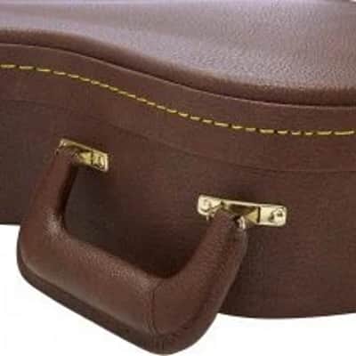 Gator Semi-Hollow Guitar Deluxe Wooden Case image 3