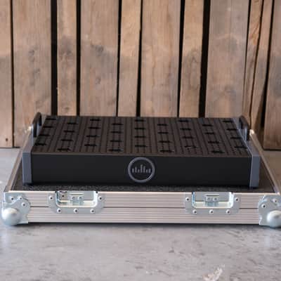 Everlasting Cases - Temple Audio DUO 17 Pedalboard Flight Case with Wheels image 3