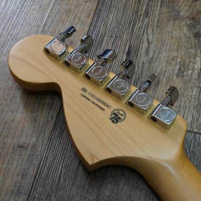 Fender Stratocaster (Neck: American Performer / Body: American Special) image 8