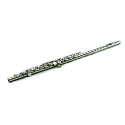 OPEN HOLE Nickel Flute w Hard image 1