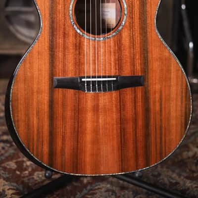 Taylor PS14ce-N Honduran Rosewood/Sinker Redwood Nylon Acoustic/Electric Guitar with Hardshell Case image 3