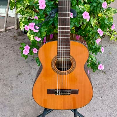 SHINANO acoustic guitars, classical guitars