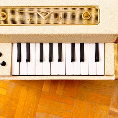 Super Rare Giaccaglia Micro “Fisetta” Chord/Reed Organ (Italy, 1950s) – vintage electric mini organ and harmonium! image 7