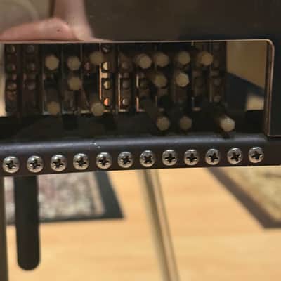 Dekley S-12 Pedal Steel Guitar 12 String with Case & Slide image 11