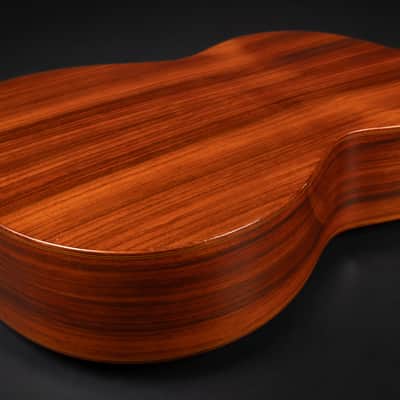 1988 Asturias AST60 - Natural | Vintage Japan Handmade Classical Guitar Cedar Rosewood | Case image 17