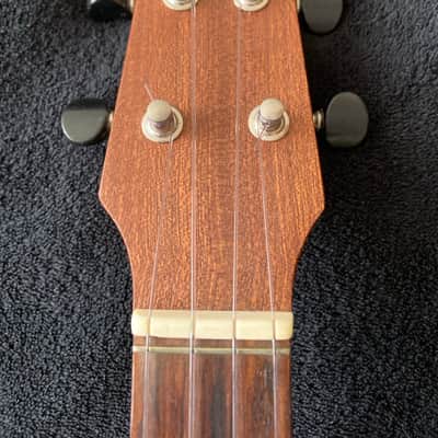 Immagine David Iriguchi Tenor Pineapple Ukulele with Case - 2