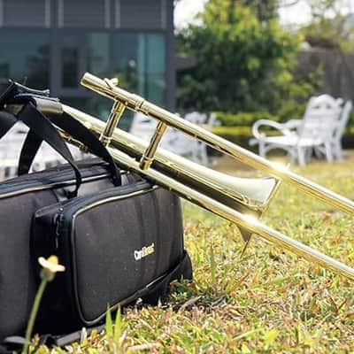 Showroom Demo Sale Price: Carol Brass CTB-1005-YSS Slide Trumpet (soprano Trombone) image 4