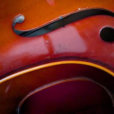 Cello Samuel Eastman VC100 4/4 size 1999 image 10