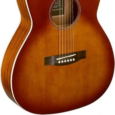 James Neligan BES-A DCB Bessie Series Auditorium Solid Spruce Top 6-String Acoustic-Electric Guitar image 1