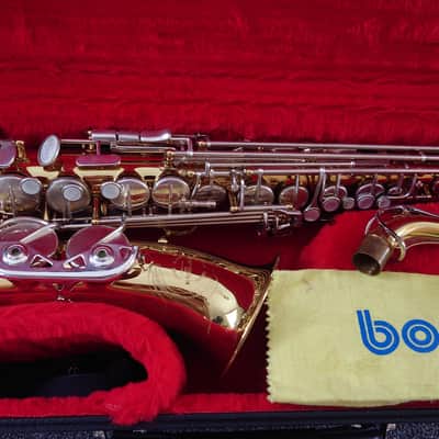 Borgani Vintage Alto Saxophone 1980 - Gold Lacquer with Nickel Silver Keys image 24