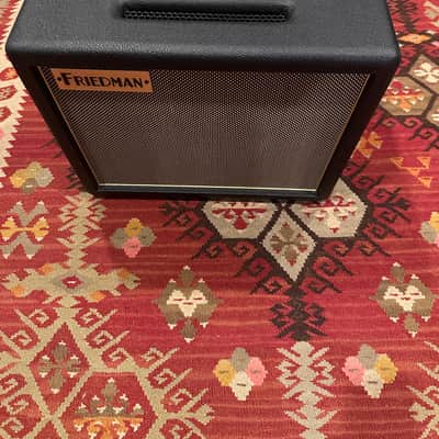 Friedman Runt 20 combo