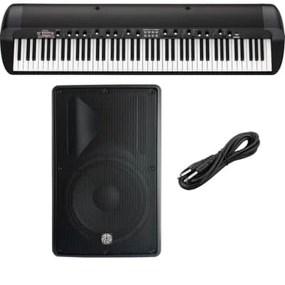Korg SV-2 88-Key Vintage Piano, PSG Audio Cobra 112, 1/4 Cable Bundle