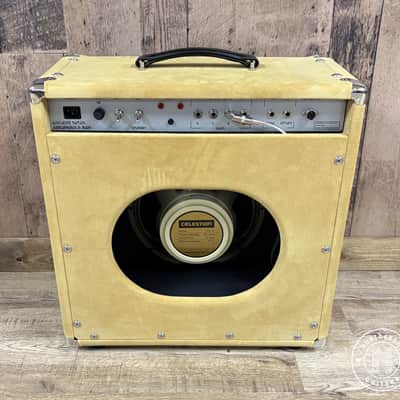 Amplified Nation Ampliphonix and Gain 1x12 Combo 2026 Buckskin Suede image 3