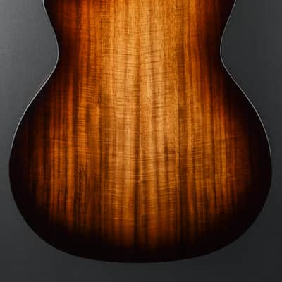 Immagine Taylor USED 214CE-K SB Plus '26 - 4