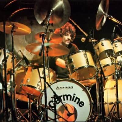 Carmine Appice's Sabian 19.5" Prototype China (CA2 #8) Autographed!! image 6
