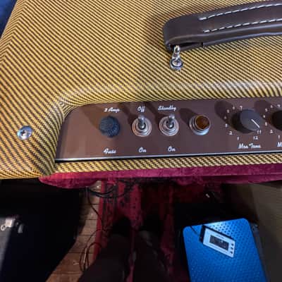 Tungsten Amplification - Buckwheat 112 Combo image 15