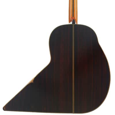 The Biggest Classical Guitar We've Ever Seen | Corujo's Gran Guitar by Raimundo & Aparicio - Check Video! image 4