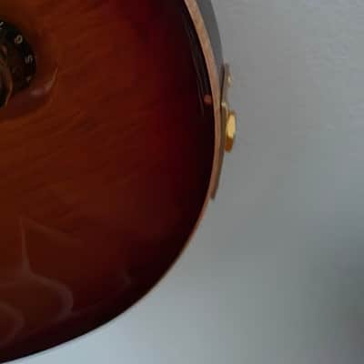 PRS 25th Anniversary Custom 24 2010 - Smoked Amber image 5