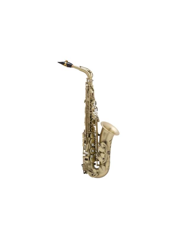 Selmer SAXOPHONE ALTO SIGNATURE - PASIVADO image 1