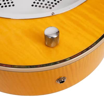 Mojo: Round-neck Resonator Guitar with Pickup and Case image 11