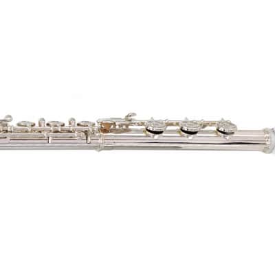 Powell PS-905 Sonaré Concert Flute with Aurumite 9K Lip Plate SN 14-0777 image 10