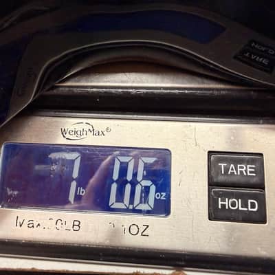 Photo 17