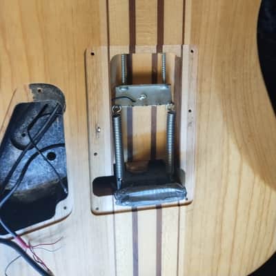 Schecter Banshees set FE & HT matching Prototypes Schecter apocalypse pickups black binding image 12