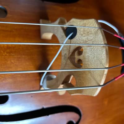 Lemur Removable Neck Upright Bass image 6
