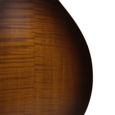 Gold Tone GM-55A A-Style Mandolin with Pickup image 8