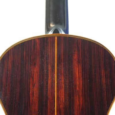 Hermann Döllinger ~1910 Johann Georg Stauffer style romantic guitar - amazing sounding early classical guitar - check video! image 11