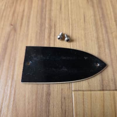 Vintage 1960's Epiphone Bass Truss Rod Cover w/ Original Mounting Screws! image 1