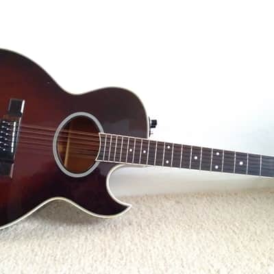 Washburn Woodstock 12-A | Reverb