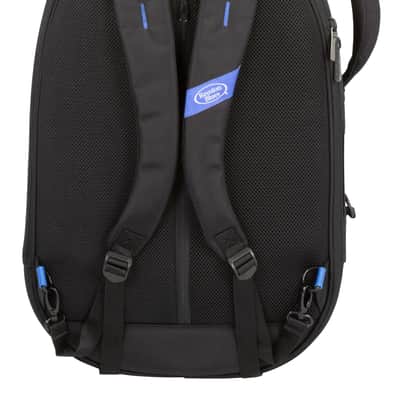 Reunion Blues Expedition Double Electric Guitar Case 2024 - Black image 4