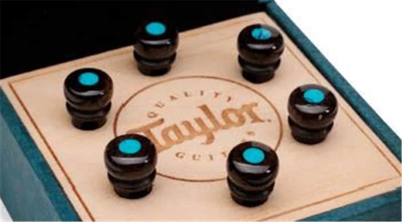 Taylor Water Buffalo Horn Bone Bridge Pin Kit-Bone Brown w/Turquoise image 1