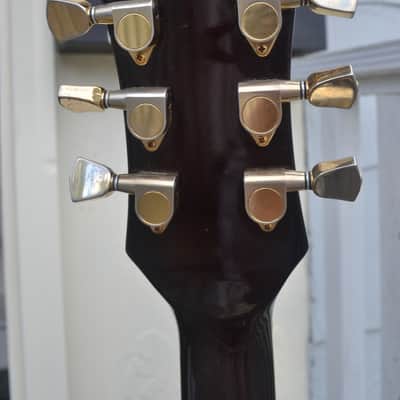 Immagine Polytone Improv I Archtop Jazzbox - RARE - Japan - 19